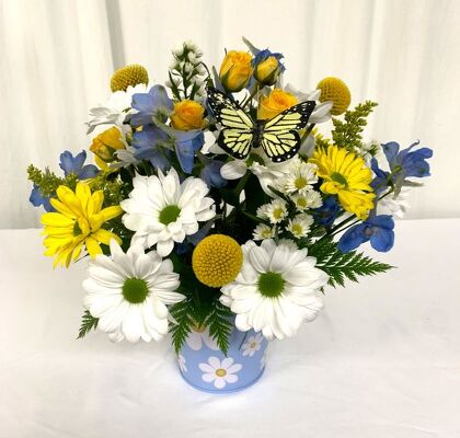 Daisy Delight Daisy Delight