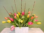 Spring has Sprung