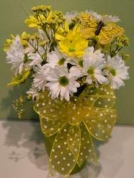 Daisy Fair from local Myrtle Beach florist, Bright & Beautiful Flowers