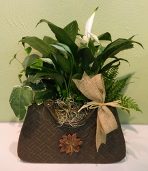 Pretty Pocketbook