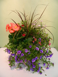 Garden Delights
